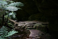 Ward's Canyon