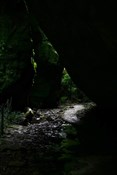 Ward's Canyon 2