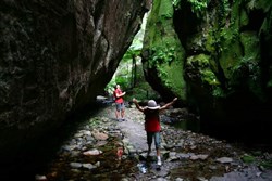 Ward's Canyon 3