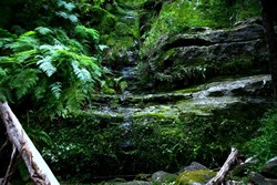 Like the Kimberleys