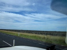 More cotton