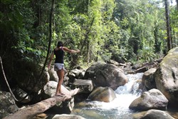 Along the walking track to Araluen Falls
