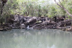 Creek at the top of Cedar Creek Falls