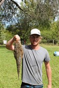 Flathead
