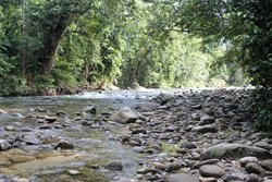 Looking upstream from the swimming area