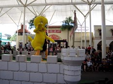 Kate's favourite Tweety