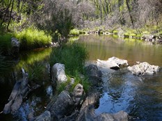 Buffalo River