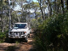 Driving along the Buggery Track