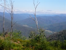 Great views 