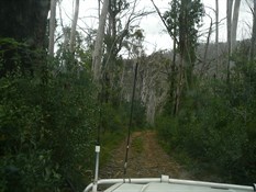 Part of Mountain Creek Track