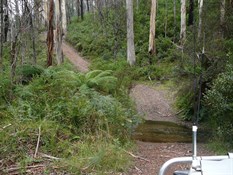 Small creek crossing not far from the walking track.