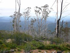More great views from up here.