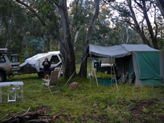 Camp off Limestone /Black  Mountain  Rd. 