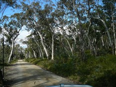 Black Mountain Road.