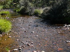 Suggin Buggin River.
