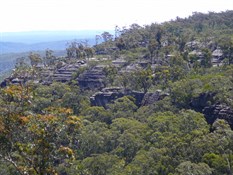 Limestone outcrops, Morton NP