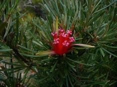 Even the flora was impressive.