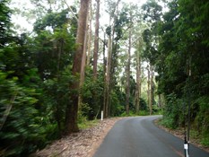 Road through Kangaroo Valley