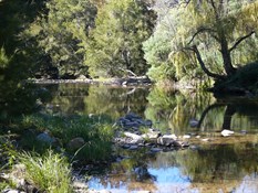 Boorangidgee River Reserve camping area. Wee Jasper.