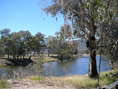 The upper  Murray River