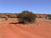 Rig Road 