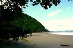 Noah's Beach Daintree Rainforest