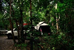 Daintree Camp