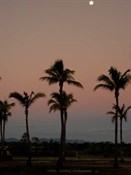 ah, the tropics...