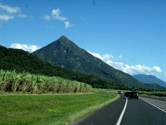 Cane and mountains