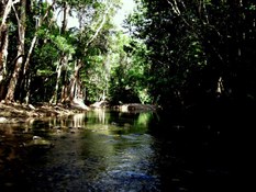 Water crossing