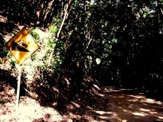 Very steep
