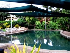 the wonderful pool