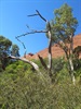 Kata Tjuta