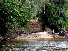 Cockatoo Creek