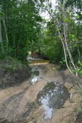 Gunshot Creek