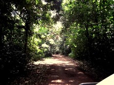 Tunnels
