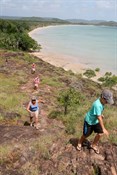 Striding to the top