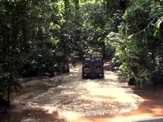 road or river? what fun!