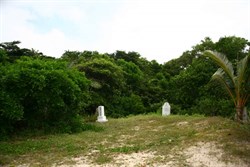 Jardine and other graves...