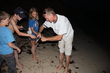 Small shark caught during fishing session