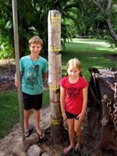Flood levels