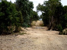 The alternative Savannah way