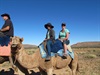 Camel ride