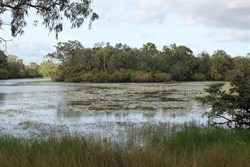 Horseshoe Lagoon
