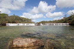 Fruit Bat Falls