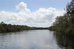 Jardine River