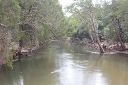 Moreton Creek