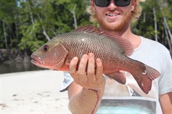 Joel's mangrove jack at Chilli beach