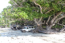 Waiting for the tide to drop so we can drive to the creek mouth