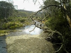 One of several creeks we crossed